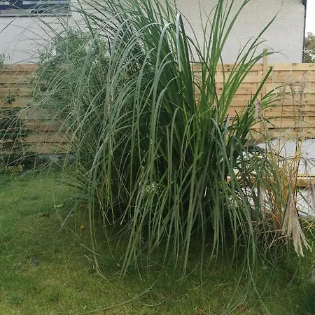 Chce Tu Zostac アパート グディニャ