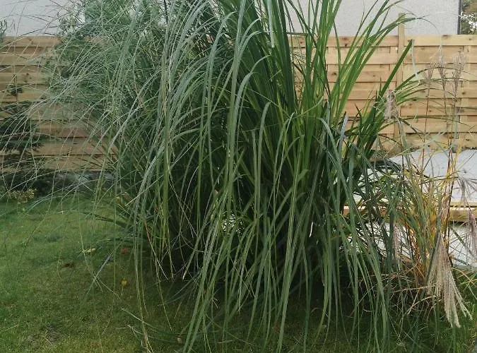 Chce Tu Zostac Lejlighed Gdynia